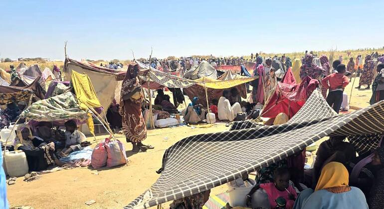 مخيم للنازحين السودانيين في مركز استقبال في الطويلة بعد فرارهم من الفاشر والمناطق المحيطة بها في شمال دارفور في أكتوبر 2025.